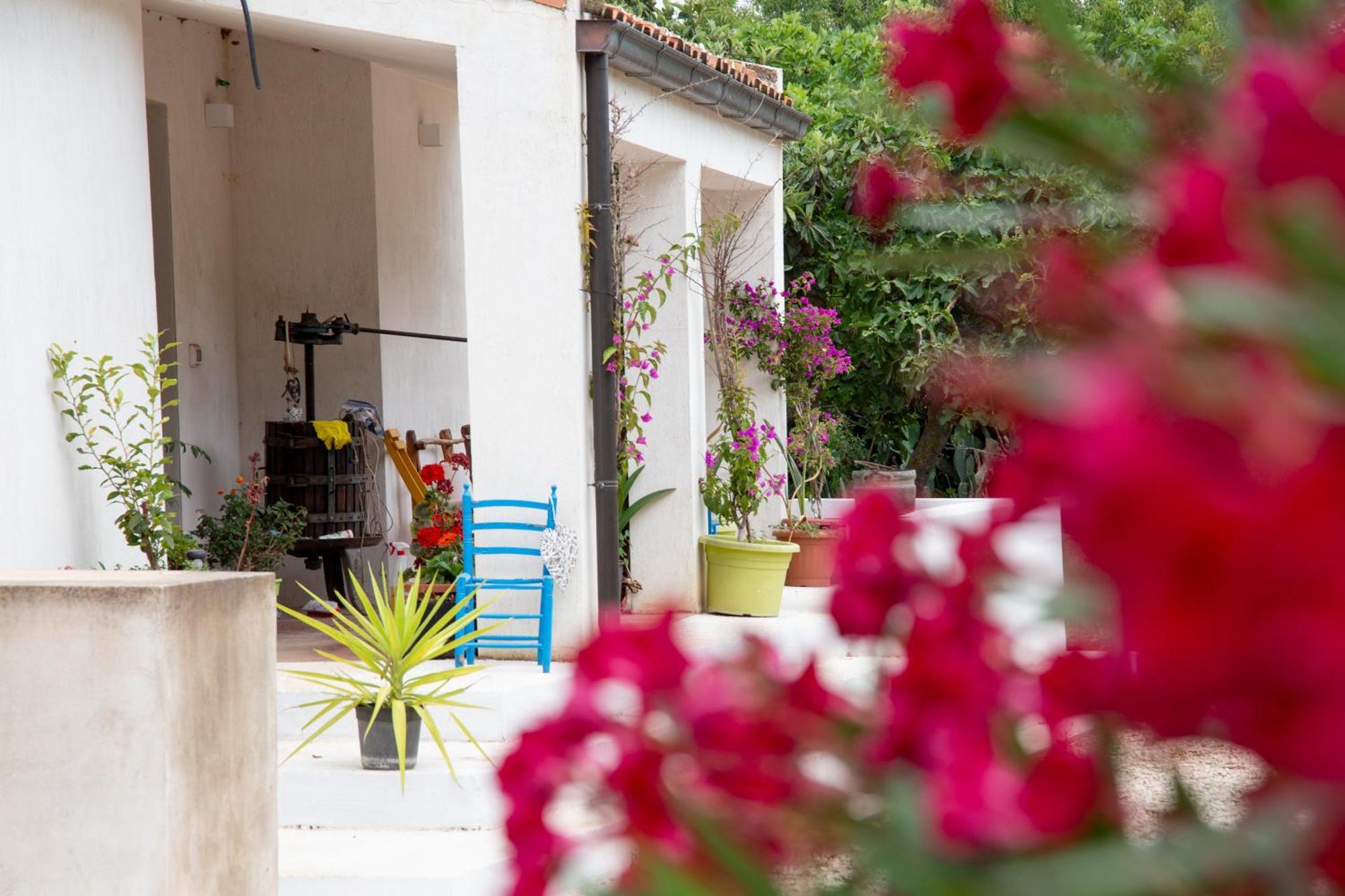 Villa Del Lupo Santa Maria la Palma Exteriér fotografie