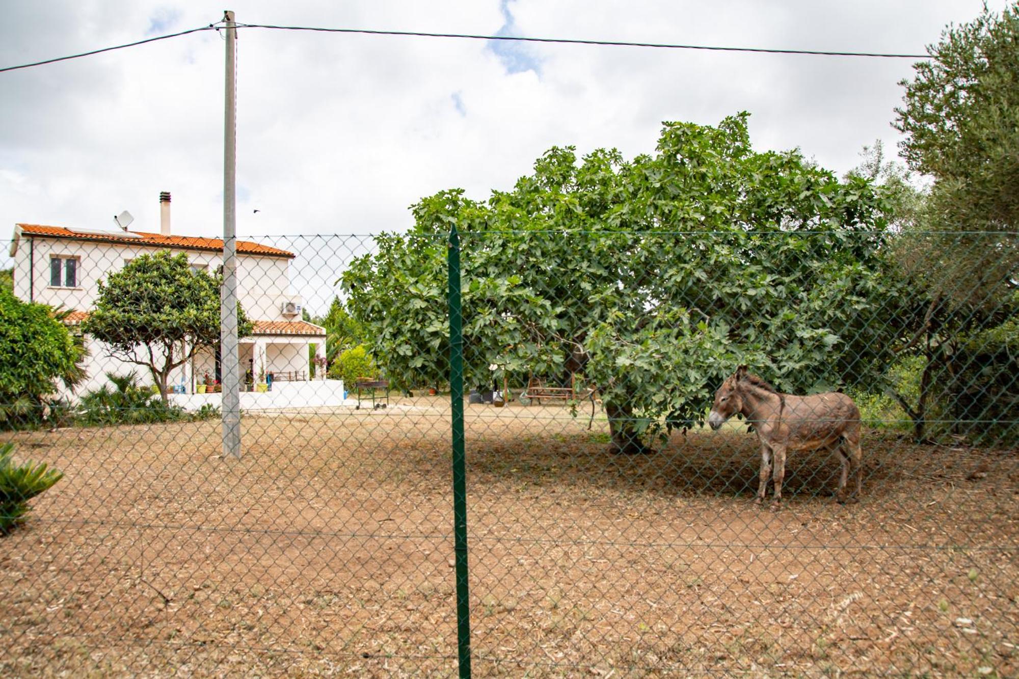 Villa Del Lupo Santa Maria la Palma Exteriér fotografie
